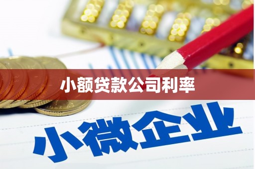 剑阁小额贷款公司利率