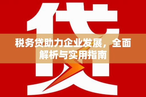 剑阁税务贷助力企业发展，全面解析与实用指南