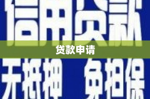 剑阁贷款申请