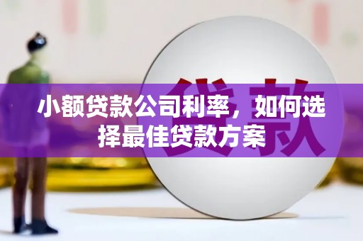 剑阁小额贷款公司利率，如何选择最佳贷款方案