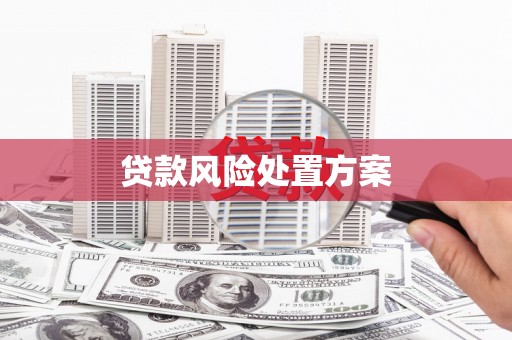剑阁贷款风险处置方案