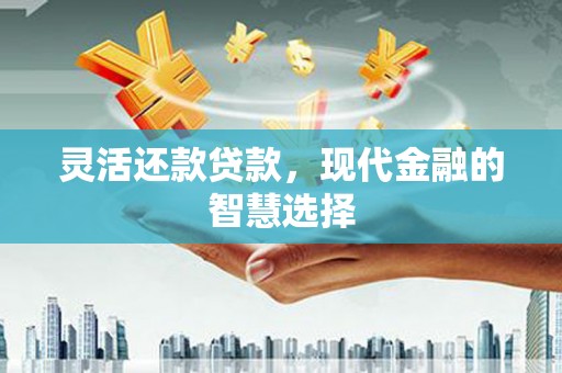剑阁灵活还款贷款，现代金融的智慧选择