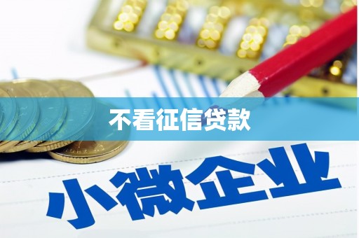 剑阁不看征信贷款