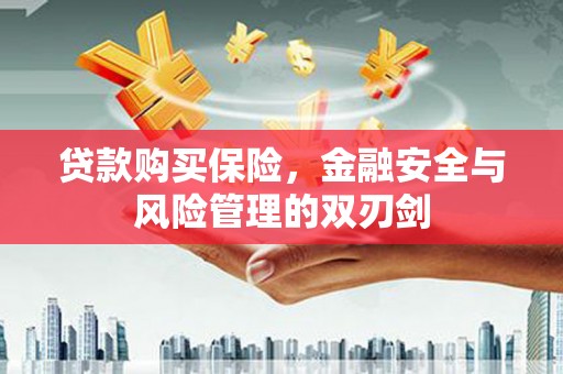剑阁贷款购买保险，金融安全与风险管理的双刃剑