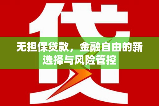 剑阁无担保贷款，金融自由的新选择与风险管控