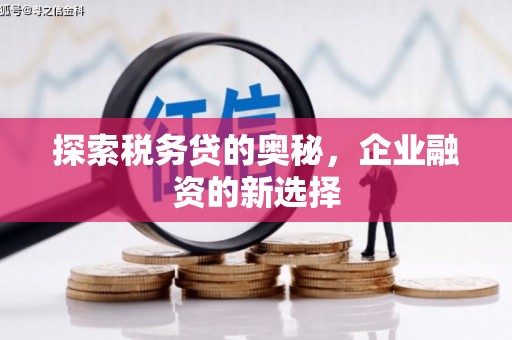 剑阁探索税务贷的奥秘，企业融资的新选择