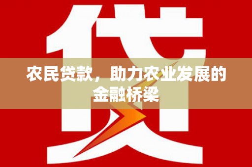 剑阁农民贷款，助力农业发展的金融桥梁