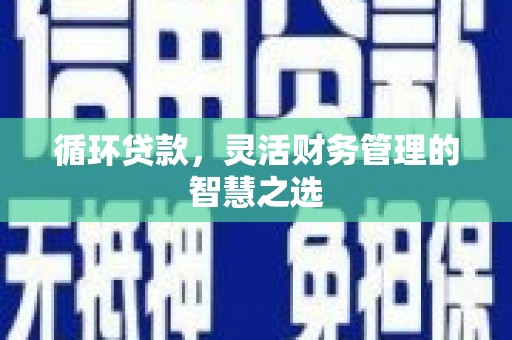 剑阁循环贷款，灵活财务管理的智慧之选