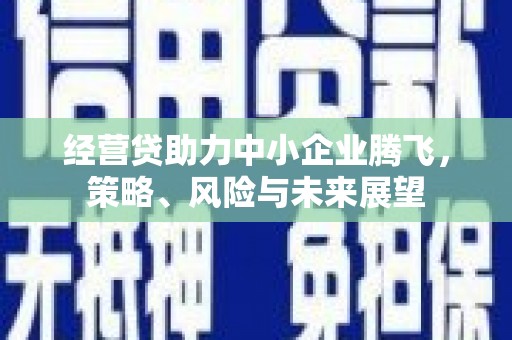 剑阁经营贷助力中小企业腾飞，策略、风险与未来展望
