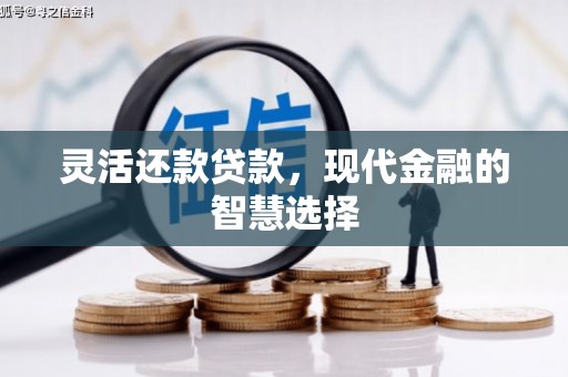 剑阁灵活还款贷款，现代金融的智慧选择