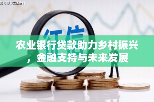 剑阁农业银行贷款助力乡村振兴，金融支持与未来发展