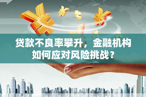剑阁贷款不良率攀升，金融机构如何应对风险挑战？