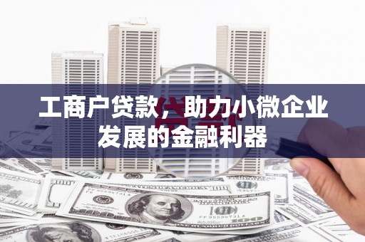 剑阁工商户贷款，助力小微企业发展的金融利器