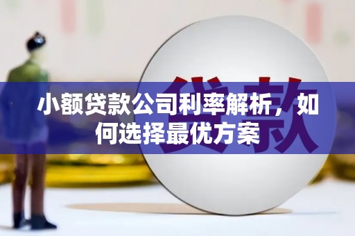 剑阁小额贷款公司利率解析，如何选择最优方案