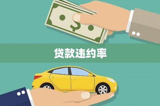 剑阁贷款违约率