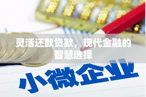 剑阁灵活还款贷款，现代金融的智慧选择