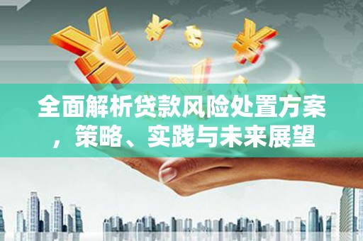 剑阁全面解析贷款风险处置方案，策略、实践与未来展望