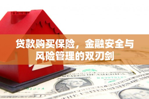 剑阁贷款购买保险，金融安全与风险管理的双刃剑