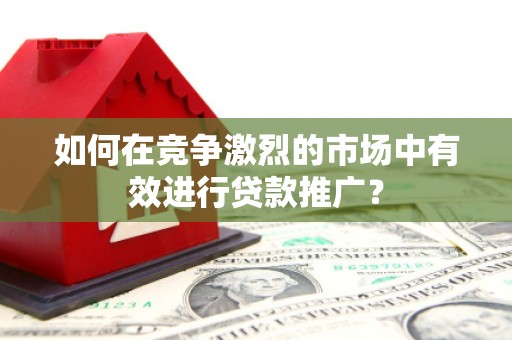 剑阁如何在竞争激烈的市场中有效进行贷款推广？