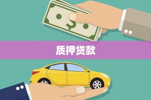 剑阁质押贷款