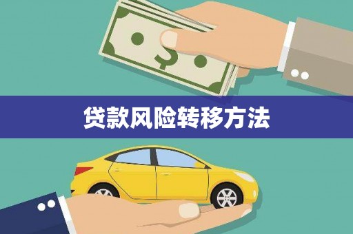剑阁贷款风险转移方法
