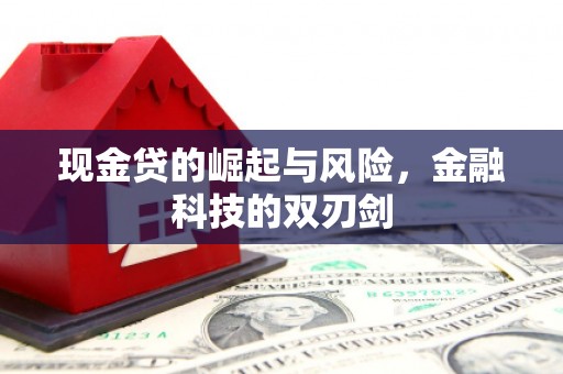 剑阁现金贷的崛起与风险，金融科技的双刃剑