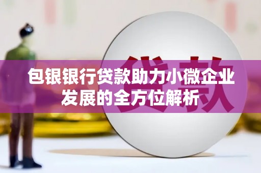 剑阁包银银行贷款助力小微企业发展的全方位解析