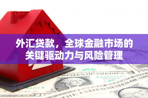 剑阁外汇贷款，全球金融市场的关键驱动力与风险管理