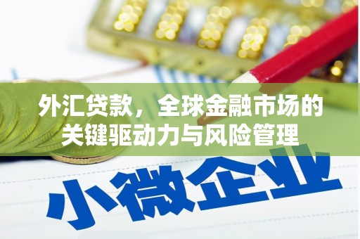 剑阁外汇贷款，全球金融市场的关键驱动力与风险管理
