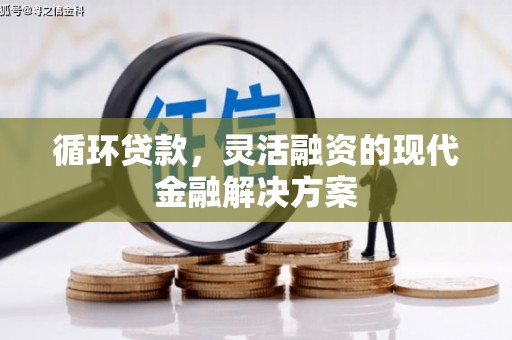 剑阁循环贷款，灵活融资的现代金融解决方案