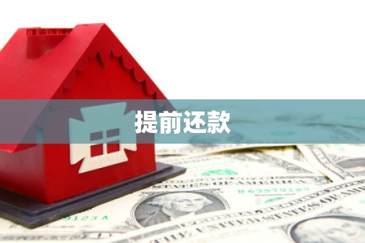 剑阁提前还款