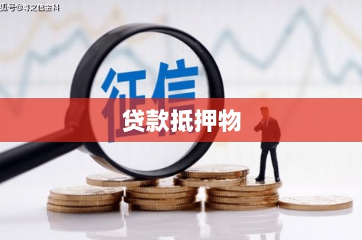 剑阁贷款抵押物