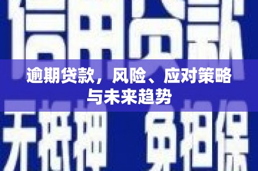 剑阁逾期贷款，风险、应对策略与未来趋势