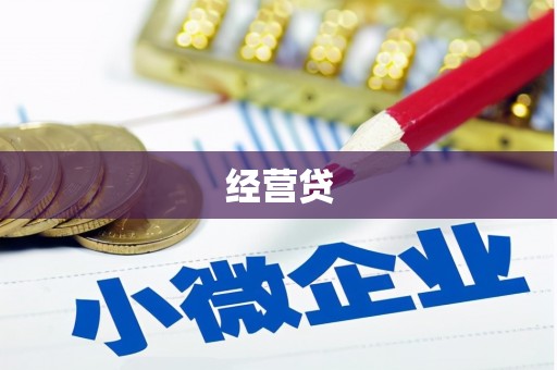 剑阁经营贷