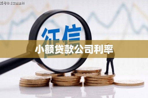 剑阁小额贷款公司利率