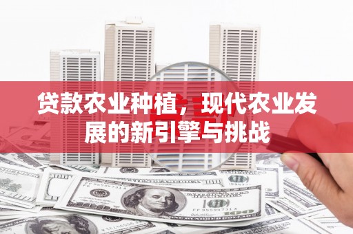 剑阁贷款农业种植，现代农业发展的新引擎与挑战