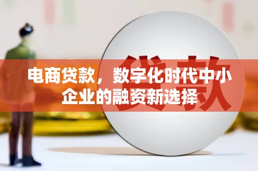 剑阁电商贷款，数字化时代中小企业的融资新选择