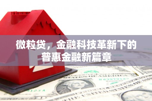 剑阁微粒贷，金融科技革新下的普惠金融新篇章