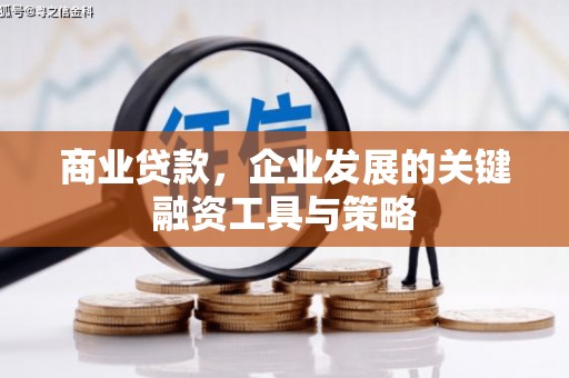 剑阁商业贷款，企业发展的关键融资工具与策略