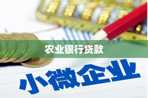 剑阁农业银行贷款