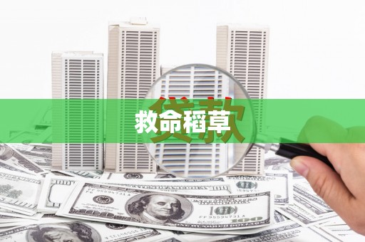 剑阁救命稻草