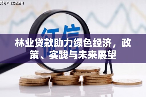 剑阁林业贷款助力绿色经济，政策、实践与未来展望