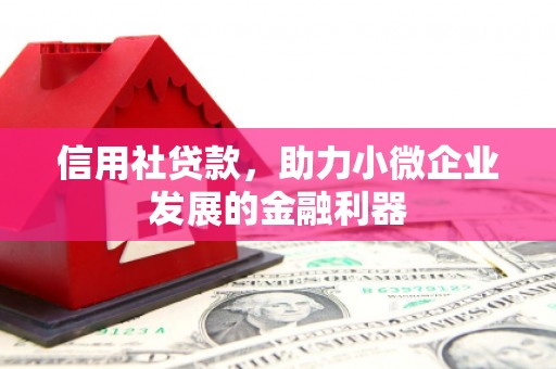 剑阁信用社贷款，助力小微企业发展的金融利器