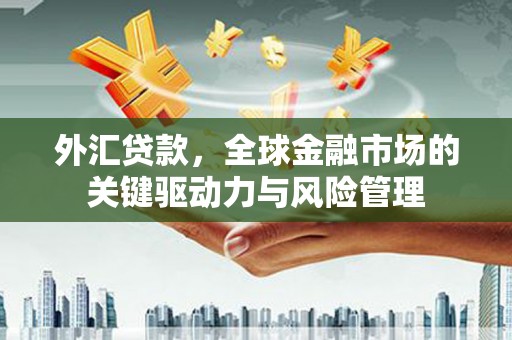剑阁外汇贷款，全球金融市场的关键驱动力与风险管理