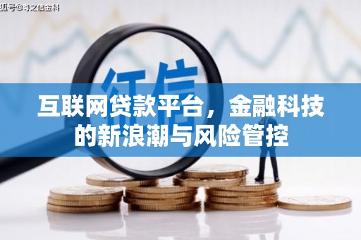 剑阁互联网贷款平台，金融科技的新浪潮与风险管控