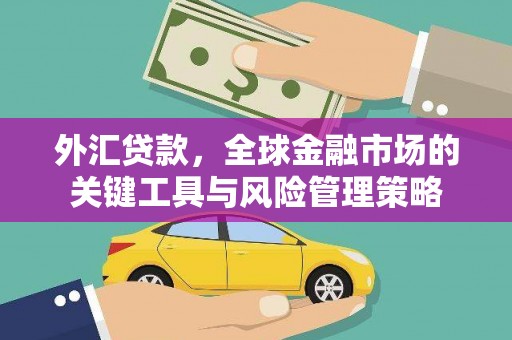 剑阁外汇贷款，全球金融市场的关键工具与风险管理策略