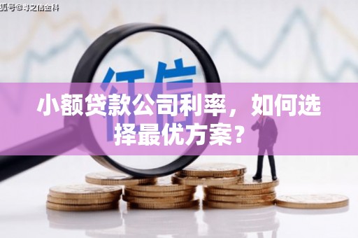 剑阁小额贷款公司利率，如何选择最优方案？