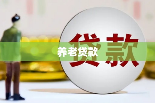 剑阁养老贷款