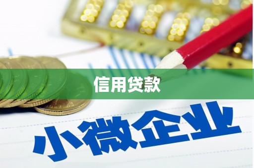 剑阁信用贷款