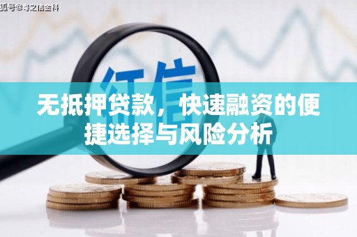 剑阁无抵押贷款，快速融资的便捷选择与风险分析